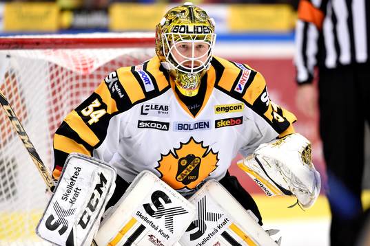 Skellefteås målvakt Erik Hanses