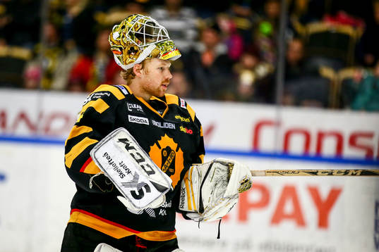 Skellefteås målvakt Erik Hanses