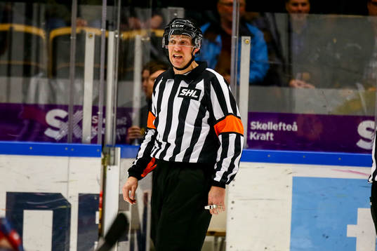Domaren Morgan Johansson