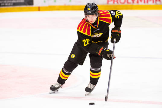 Brynäs Adam Brodecki