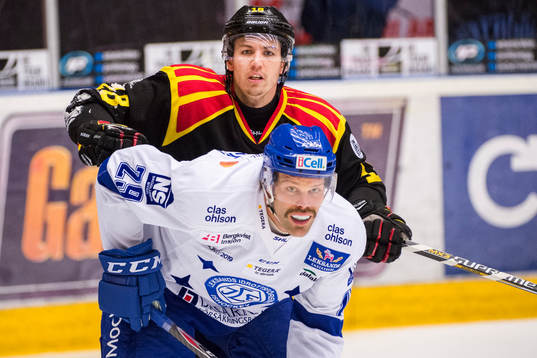 Brynäs Anton Rödin och Leksands  Jens Bergenström