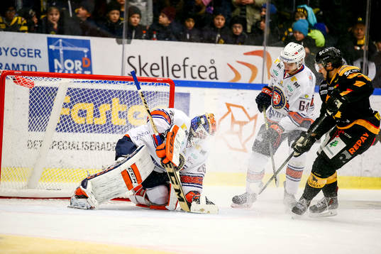 Skellefteås Daniel Widing