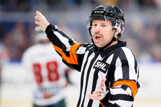 Domaren Wolmer Edqvist