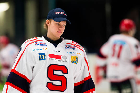 Södertäljes målvakt Christoffer Ulvestav