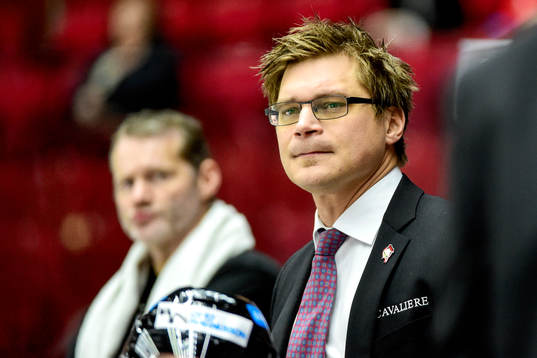 Malmö Redhawks assisterande tränare Björn Hellkvist