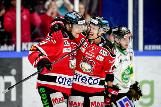 under ishockeymatchen i Hockeyallsvenskan mellan Malmö