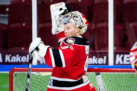 Malmö Redhawks målvakt Pontus Sjögren deppar
