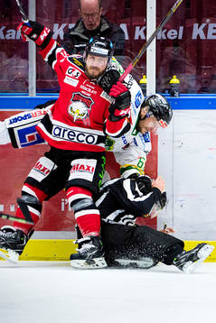 Malmö Redhawks Joey Tenute och Björklövens Mats Lavander