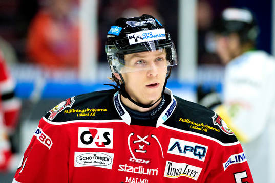 under ishockeymatchen i Hockeyallsvenskan mellan Malmö