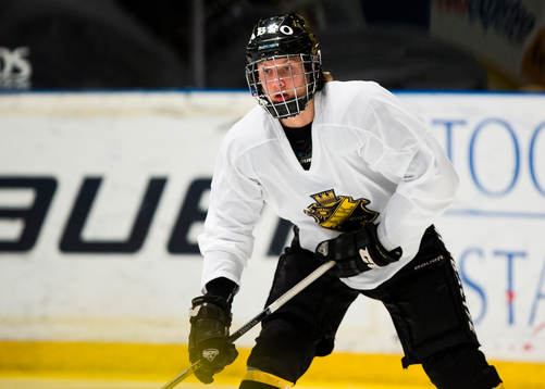 s Alexander Nylander Altelius