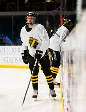 s Alexander Nylander Altelius