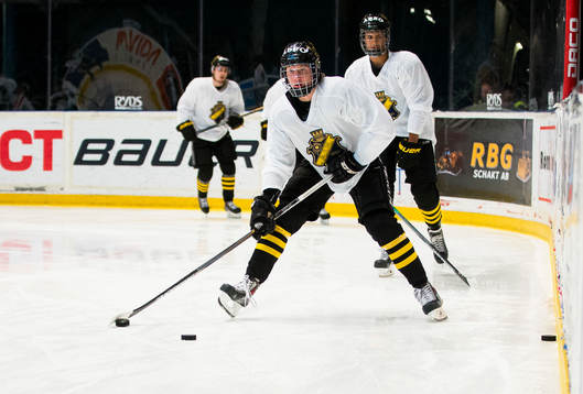 s Alexander Nylander Altelius