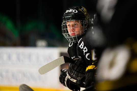 s Alexander Altelius Nylander