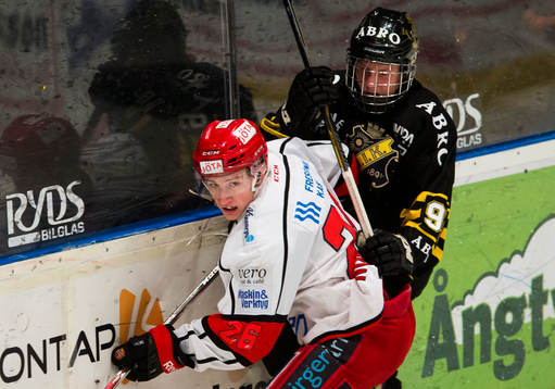 s Alexander Altelius Nylander