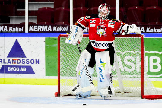 Malmö Redhawks målvakt Jonas Gunnarsson deppar