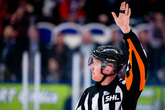 Domare Mikael Holm