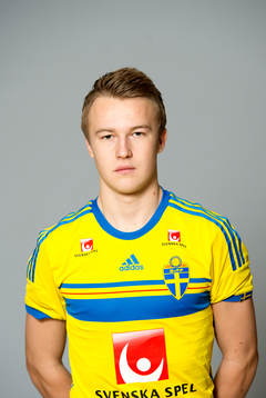Christian Ljungberg, Sverige