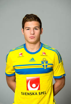 Haris Avdin, Sverige