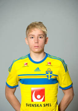 Johan Brannefalk, Sverige