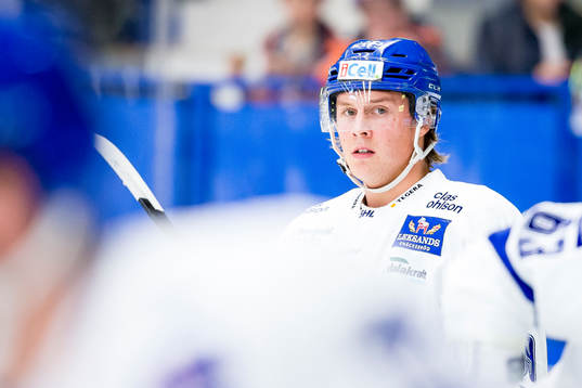 Leksands David Åslin
