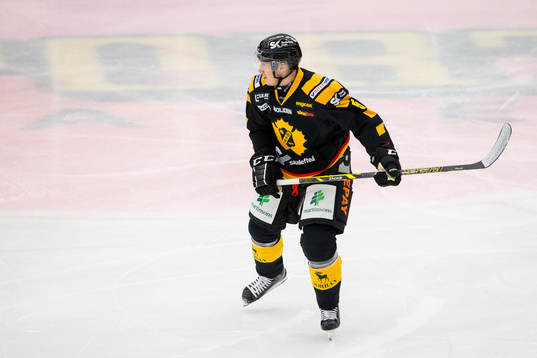 Skellefteås Martin Sevc