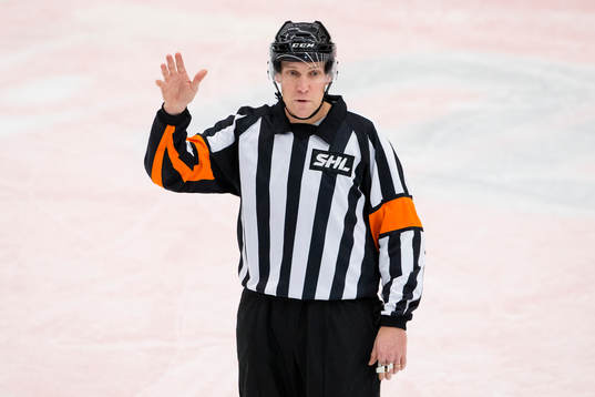 Domare Morgan Johansson