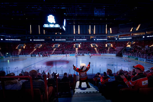Malmö Redhawks maskot Hawkan värmer upp publiken