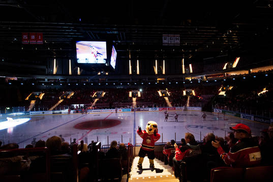 Malmö Redhawks maskot Hawkan värmer upp publiken