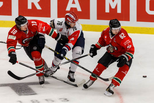 Frölundas Mattias Janmark, Helsingfors Nikolai Goldobin