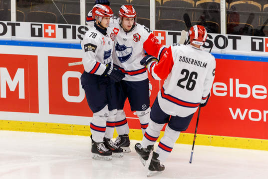 Helsingfors Nikolai Goldobin, Robert Leino och Helsingfors