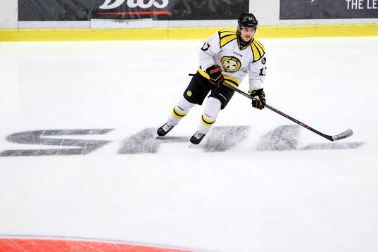 Skellefteås XX