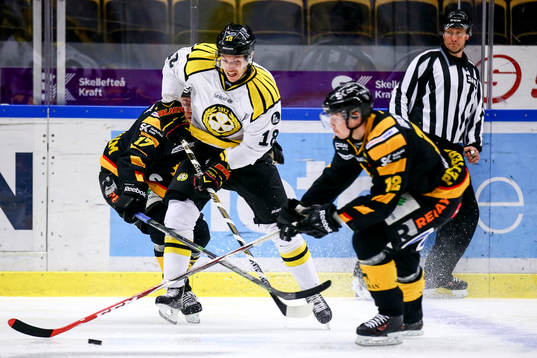 Skellefteås Adam Pettersson