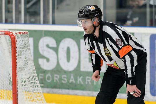 Domare Robin Karlsson