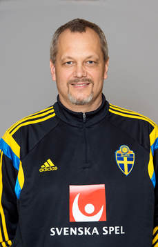 Anders Bogsjö, Sverige