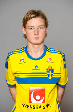 Niclas Holgersson, Sverige