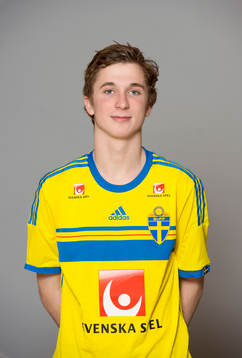 Fabian Falk, Sverige