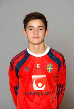 Oscar Lansing, Sverige