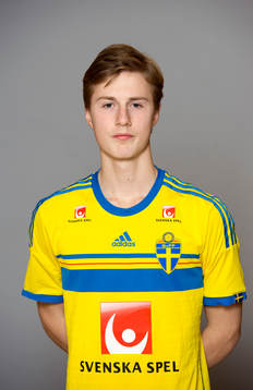 Niklas Shwenkér Fröjdholm, Sverige