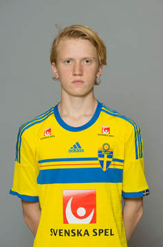 Otto Peterson, Sverige
