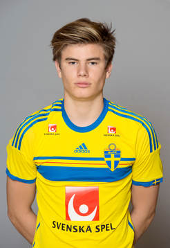 Max Anderberg, Sverige