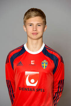 Harald Detlofsson, Sverige