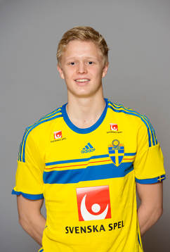 Linus Brunzell, Sverige