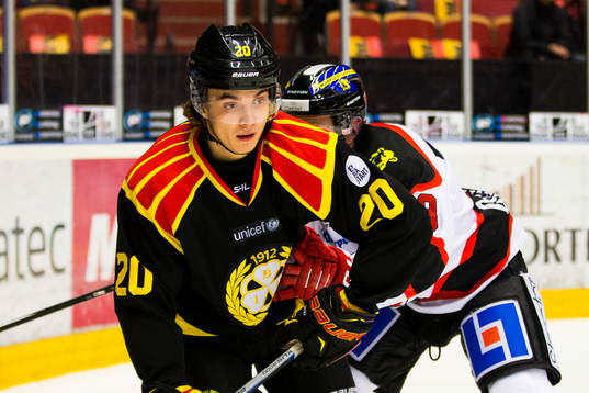 Brynäs Adam Brodecki