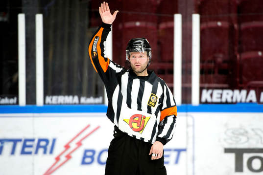 Domare David Bergman