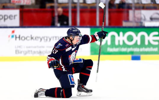Linköpings Jakub Vrana jublar