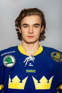 Sveriges Adam Brodecki