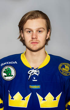 Sveriges Lucas Wallmark