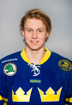 Sveriges Jens Lööke