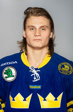 Sveriges Anton Karlsson