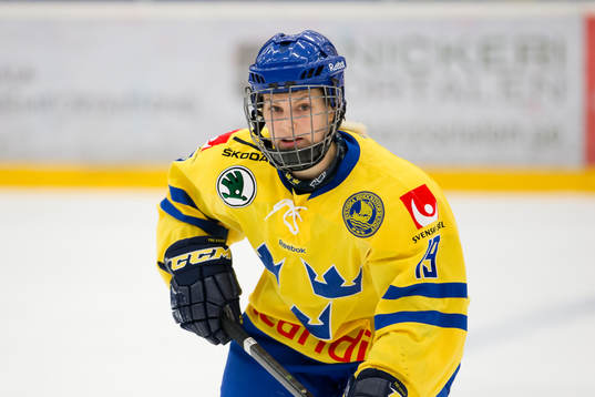Sveriges Alexandra Palm